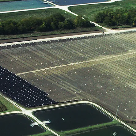 Aquaculture Solutions