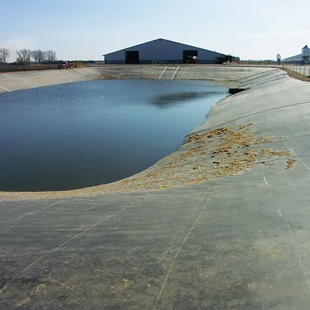 Manure Lagoon Solutions